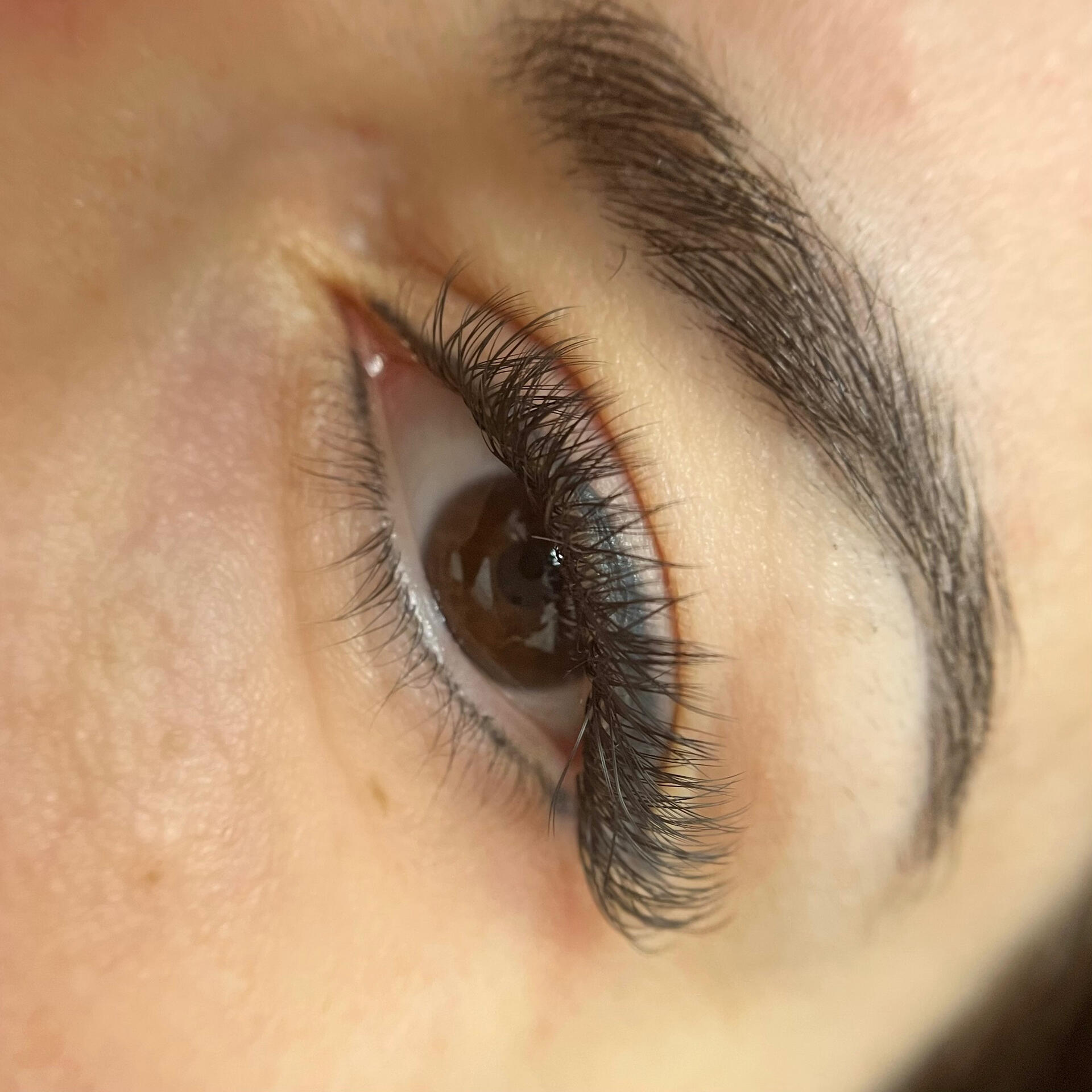 cat eye hybrid lash extensions close up
